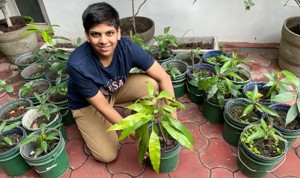 Mango Sapling Initiative